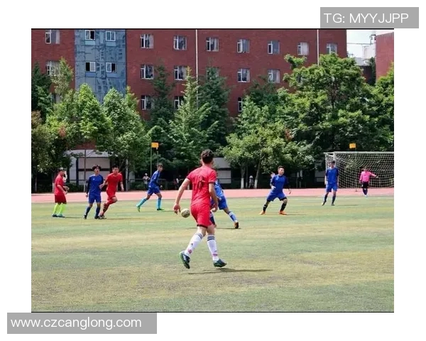 深圳乒乓球队边路渗透战术解析与实战应用研究