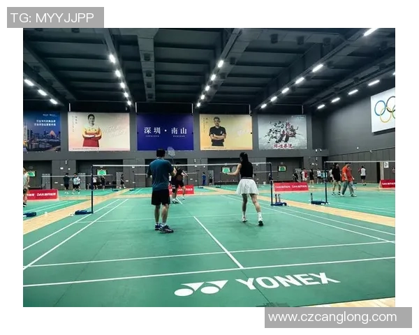 深圳羽毛球队在全国锦标赛中的实力展现与未来发展潜力分析