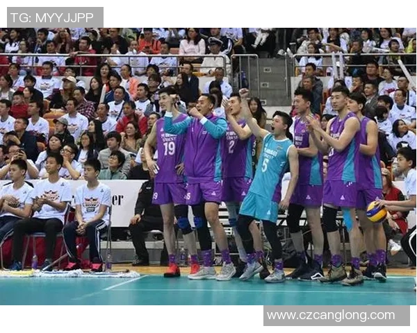 深圳排球队转型之路:从传统到创新的全新篇章探索 深圳排球队转型之路:从传统到创新的全新篇章探索