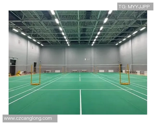 北京羽毛球队快攻战术解析及其在比赛中的应用与影响 北京羽毛球队快攻战术解析及其在比赛中的应用与影响