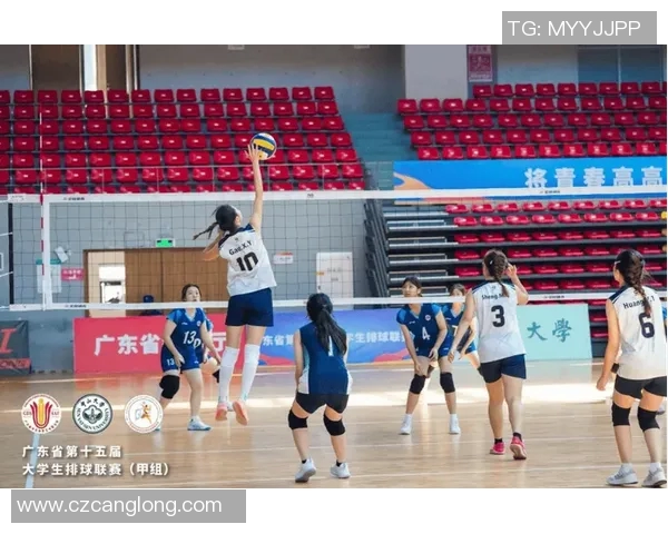 广州排球队在全国排球耐力排行榜中荣获第九名展现出强劲实力与潜力