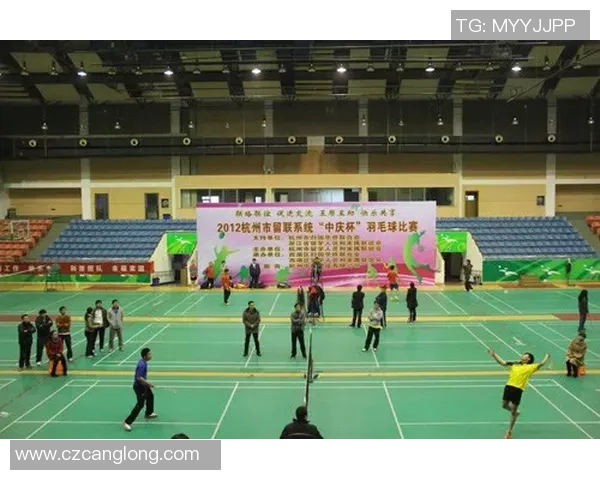 杭州羽毛球队与北京羽毛球队耐力对决赛后分析与反思 杭州羽毛球队与北京羽毛球队耐力对决赛后分析与反思