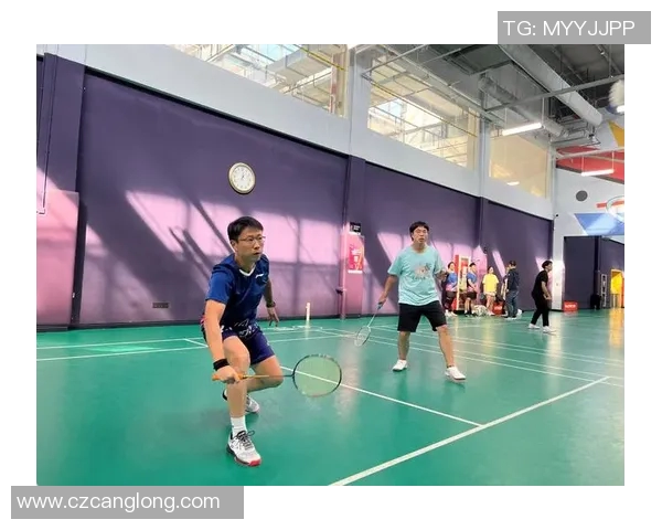 武汉羽毛球队的转换打法深度分析与战术创新探讨 武汉羽毛球队的转换打法深度分析与战术创新探讨