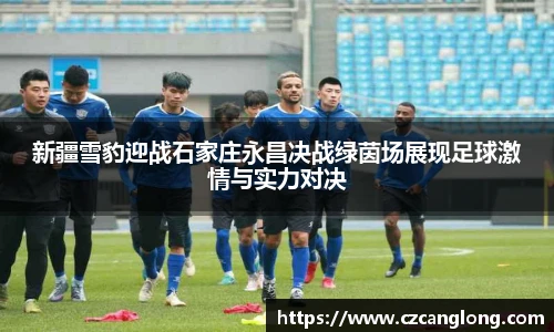 新疆雪豹迎战石家庄永昌决战绿茵场展现足球激情与实力对决